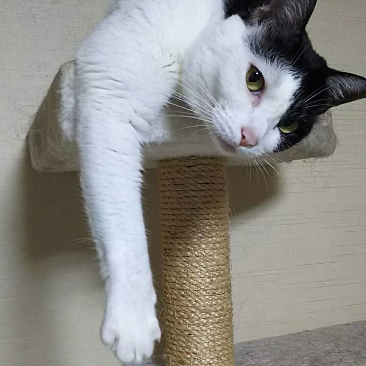 73d3aca9 6a03 4ba1 a499 db27fc12ebd1