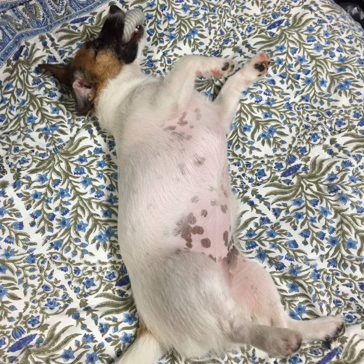 73d3e708 f56b 4147 a683 b5625d022ad9