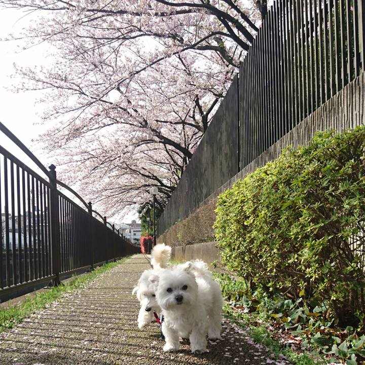 73d42246 3644 4019 a434 01e97da3ff82