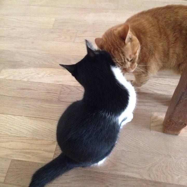 73d4858b 98b8 42e1 8d71 b584d2e340e5