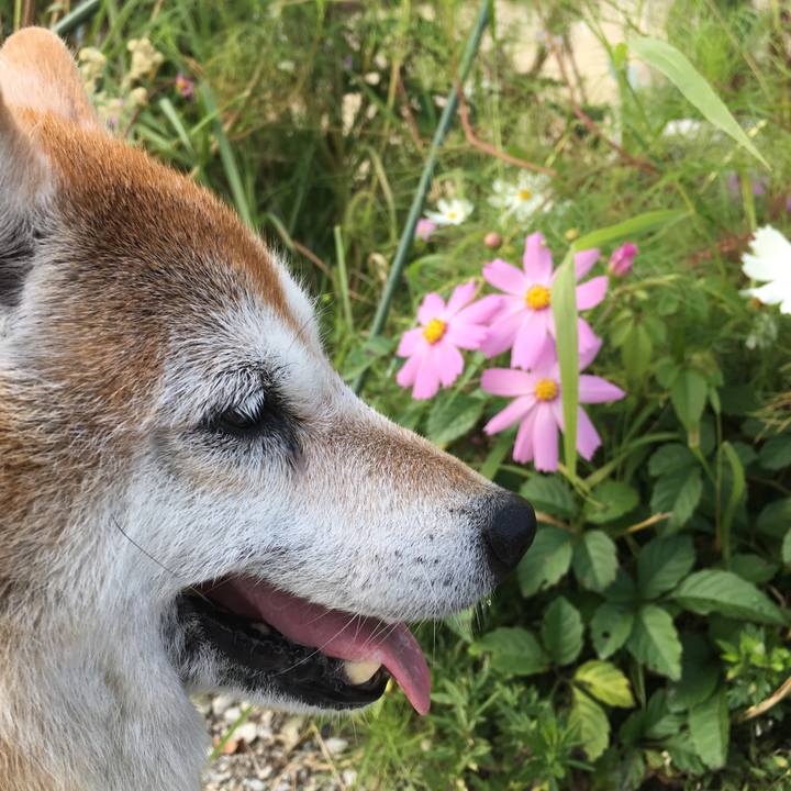 73d49957 953b 492a a2c3 6ef42b46bfaf