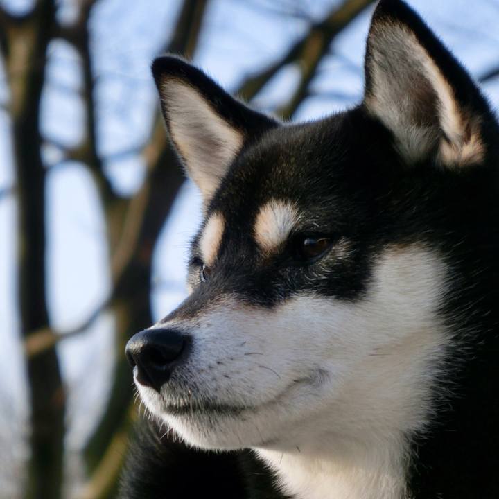 73d4a4cb 00b5 452b 91b6 1dbbdff72d80