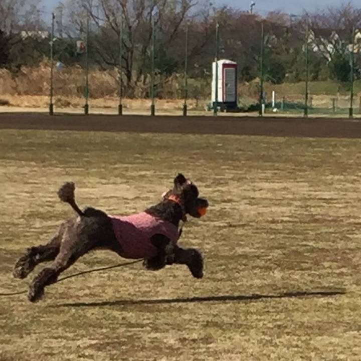 73d4c22d 4ec0 4626 a5de ec3f446fc970