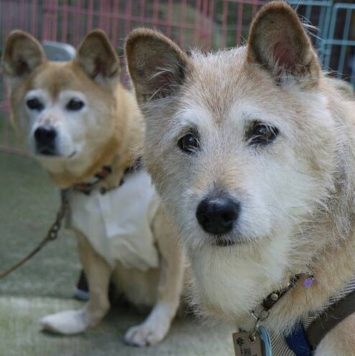 73d4fbac e6b3 4ea7 8418 67fc3af8c0e1