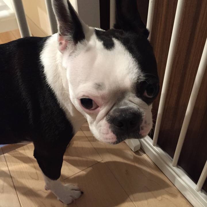 73d525be 7447 4f15 87e6 a16467344ba9