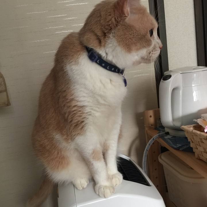 73d579a7 12bb 4cf6 84ca a1ecc832fe0e