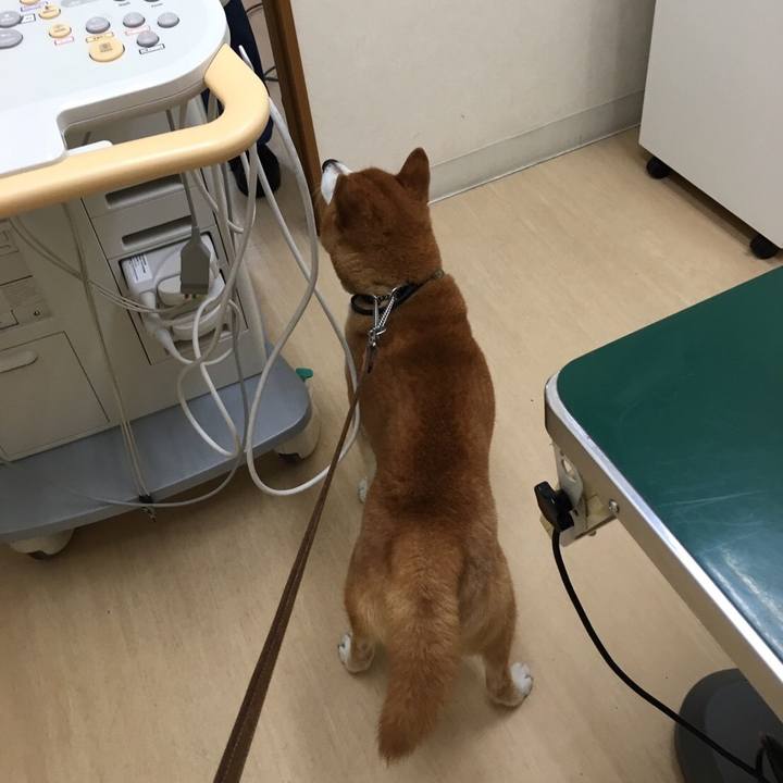 73d5ac86 f0e2 4f3d bf20 02644304995c