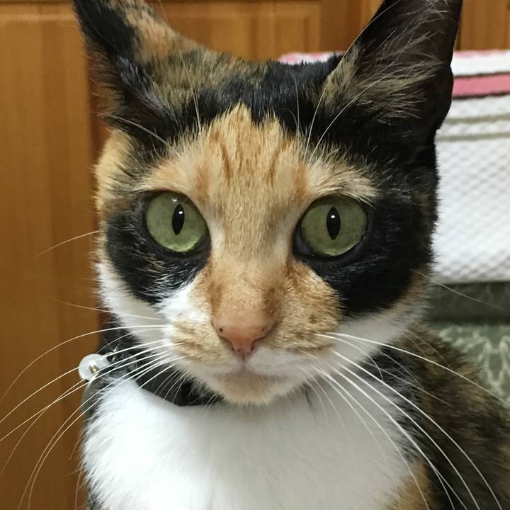 73d62882 7ebb 47aa be31 c18329bb2f39