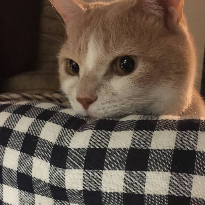 73d6b9c2 422d 4479 97af 71dfdb0f62fd