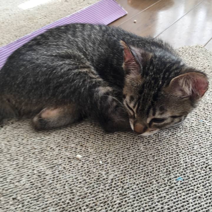 73d6c10b 2e63 4ebf 938a d27d5ca95fed