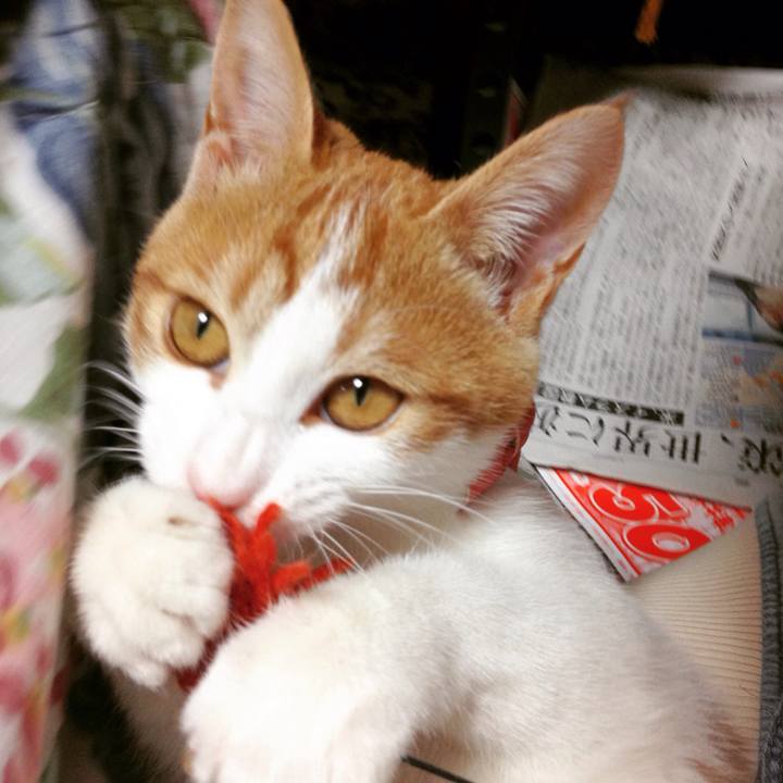 73d73977 782c 4e62 842b 34c4d2ce9a36