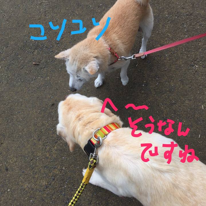 73d809e1 ac30 4154 ac69 0bc56371cbcf