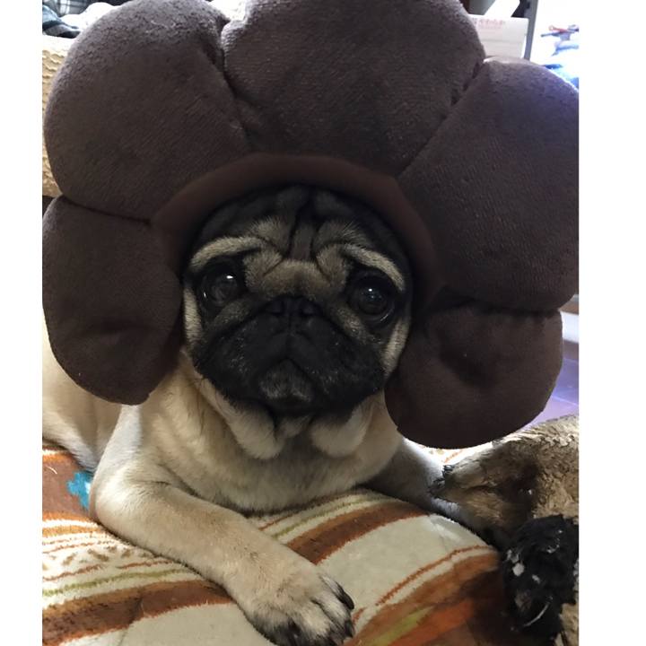 73d813cf b80c 4f72 8a97 2b73f83b7c12