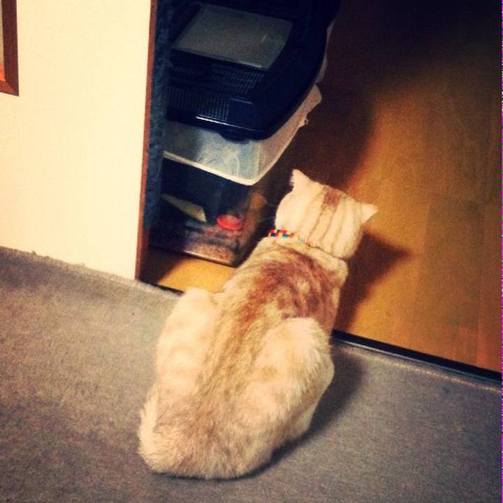 73d84eda 6858 4f23 9f5d ed2e2fbf7893