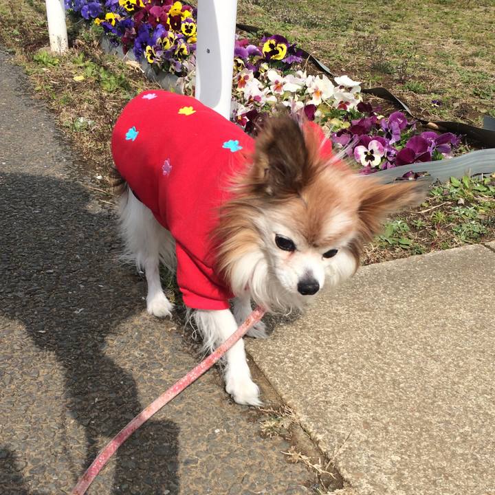 73d88a6c 72b4 4226 a661 19e5beca1778