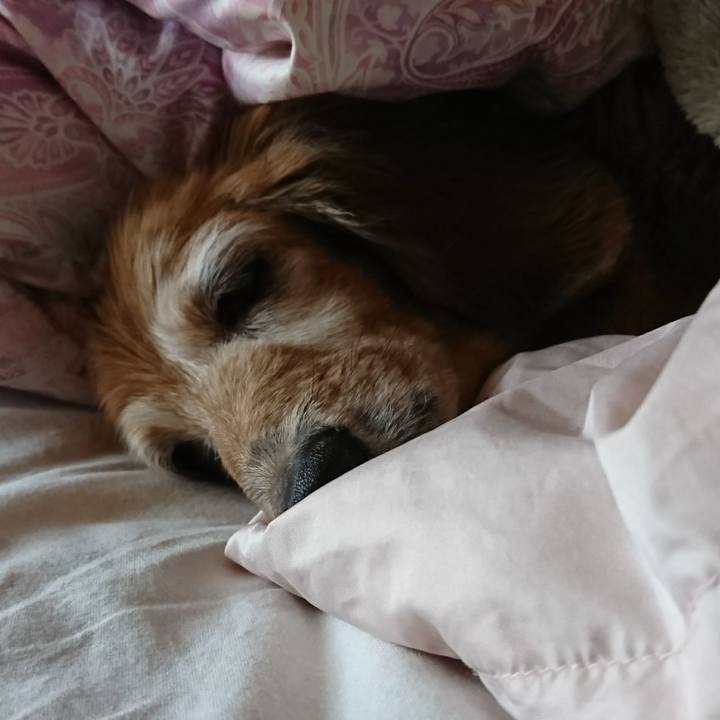 73d8ea22 71fc 4d4a 9db7 ba63bd991fc2