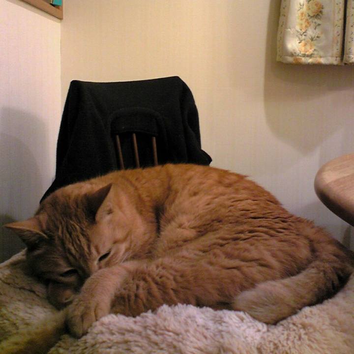 73d91803 7ca6 4c03 9992 2dfa76a0baac