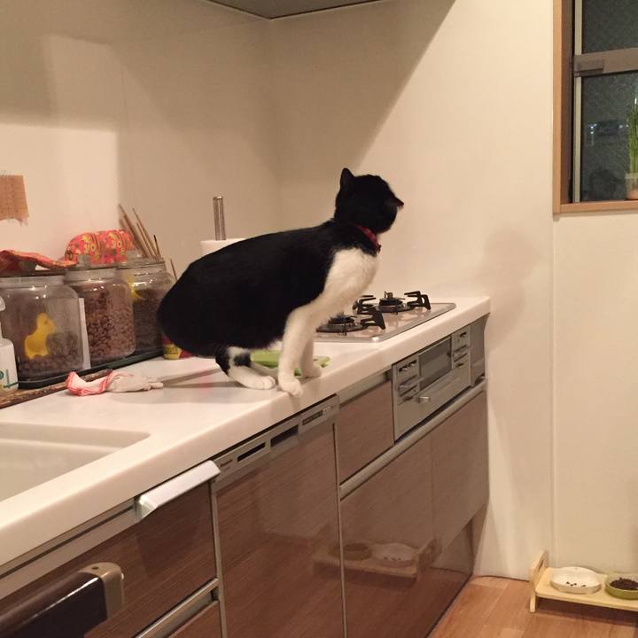 73d97cc5 84a8 48f5 8695 b72cbfd55291