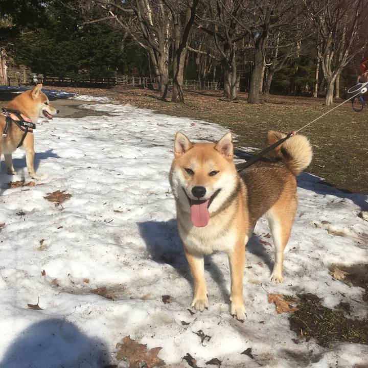 73d99602 0307 419c bee4 6a694320c9b1