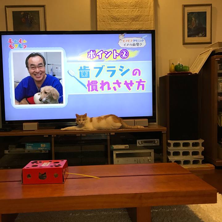 73d9db67 f4b7 4aae 81fe 9dd2058f502f