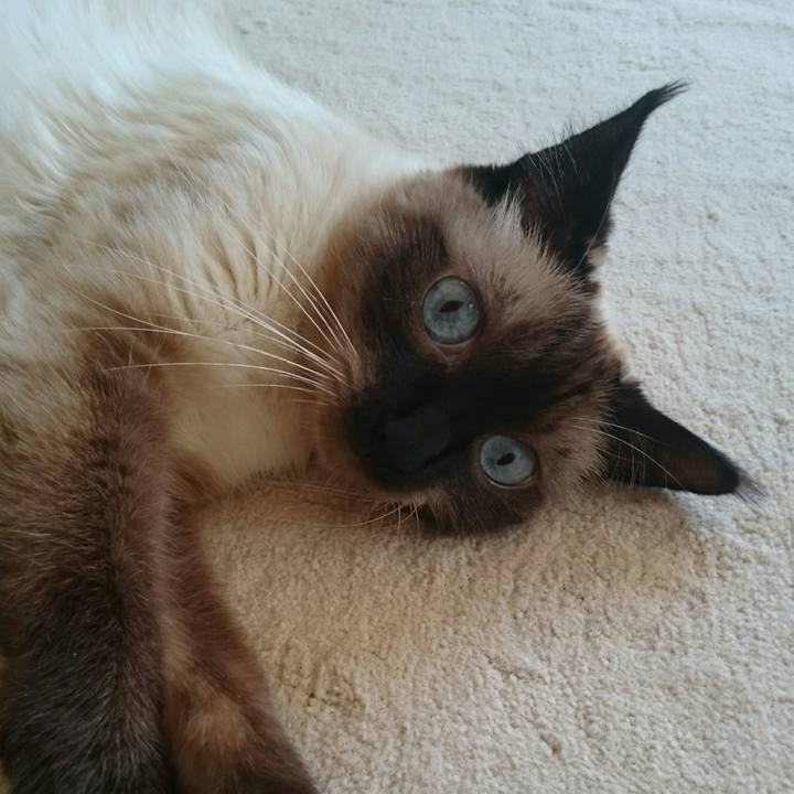 73da2bba 01b4 4f67 9d41 8f8af1288051