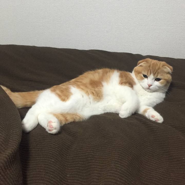 73da5478 b097 49eb a300 8fca3e9c4d75