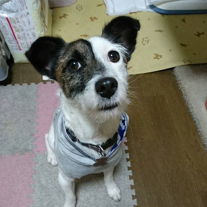 73dab082 4c9c 4ab6 854b b458809d38ae