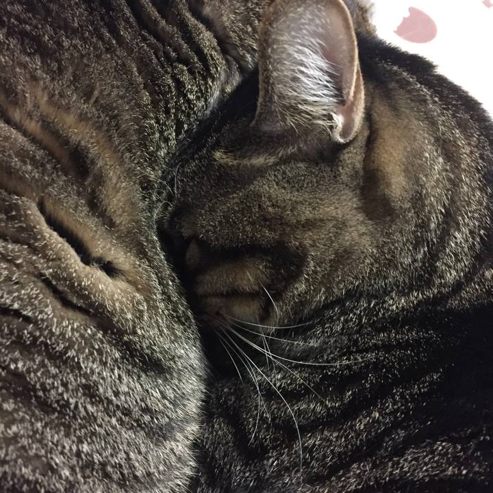 73dbbb97 0d50 4413 a1d3 16e5beee4faa