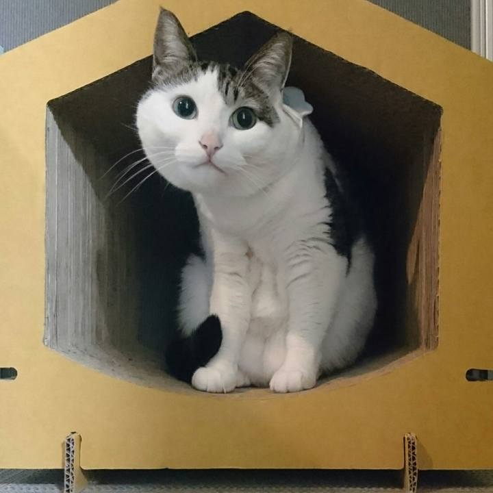 73dc016b f903 448d b412 6ac59dc3d876