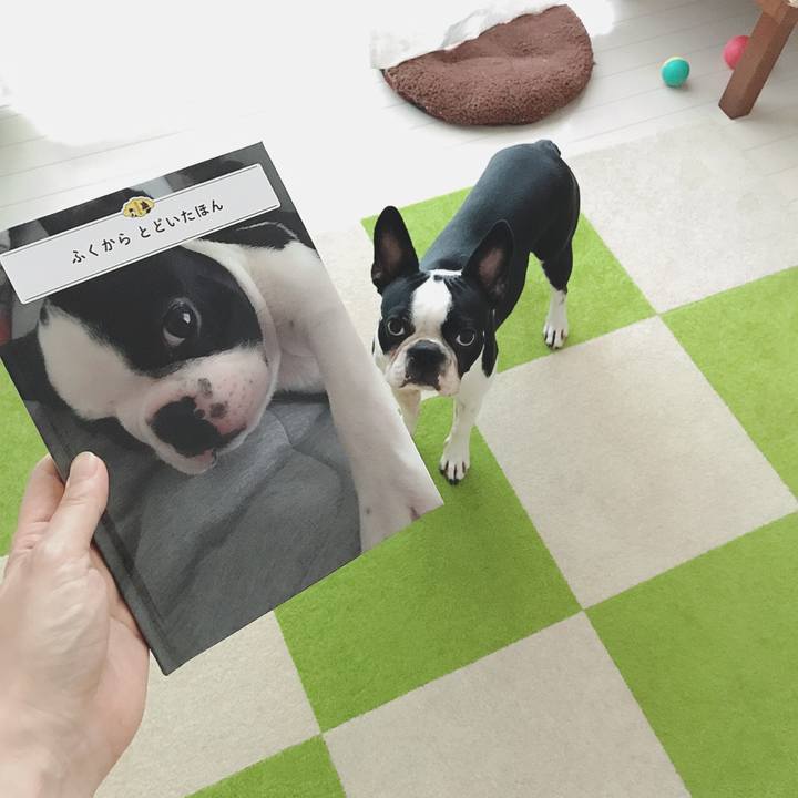 73dc16b1 17b2 4a62 bd26 c2d741377d41