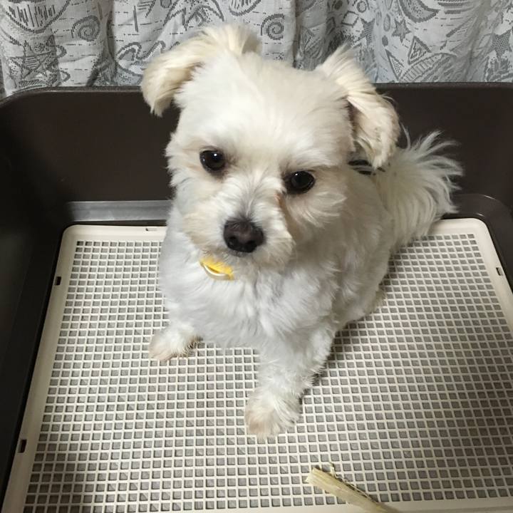 73dc1b27 6034 422d 86af 2560209c3000