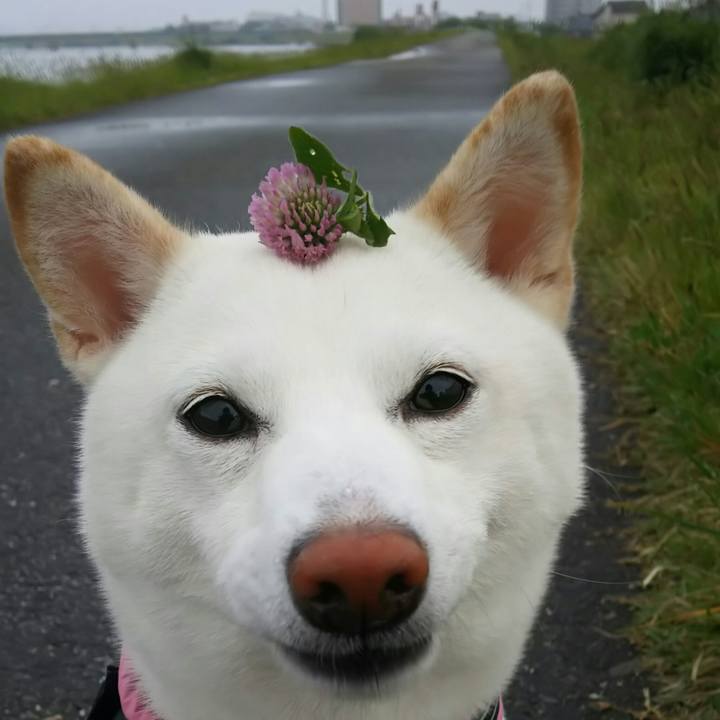 73dcaf38 7476 42b0 bbe4 45ccca6e85fb