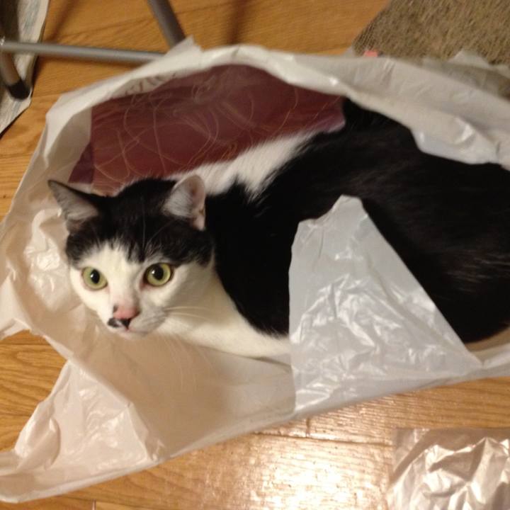 73dcb6db ff5a 4f45 a899 cc2254feefea