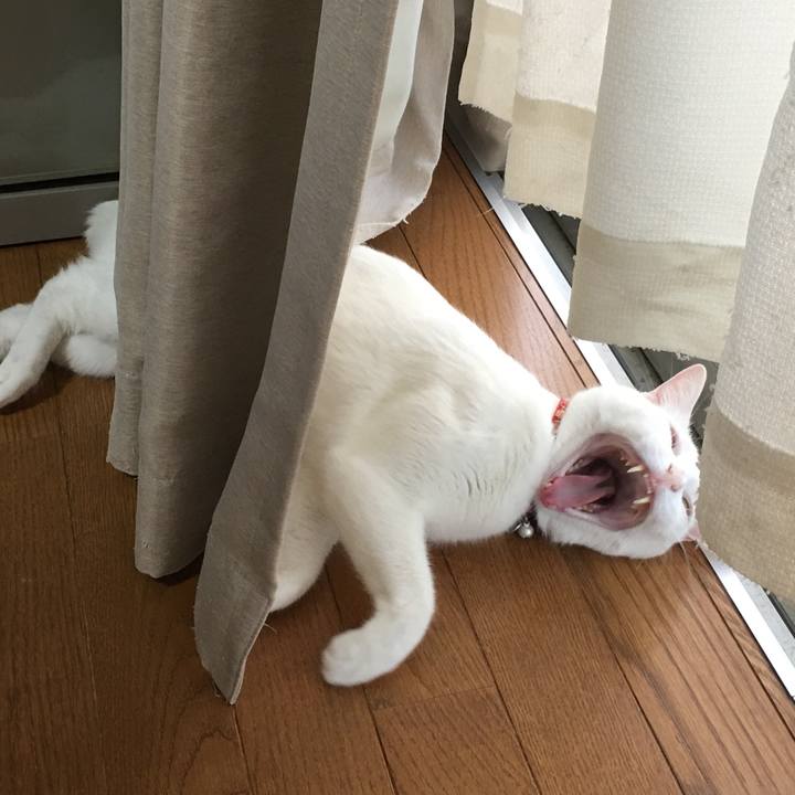 73dd1b6d d283 413c a547 b64fcb31f967