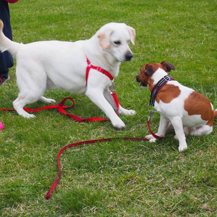 73dd7cae 240c 473a b76a d70cd545214a