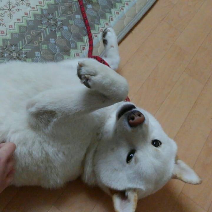 73dd8886 2958 485b 9ce0 eaa7e8a71ea1