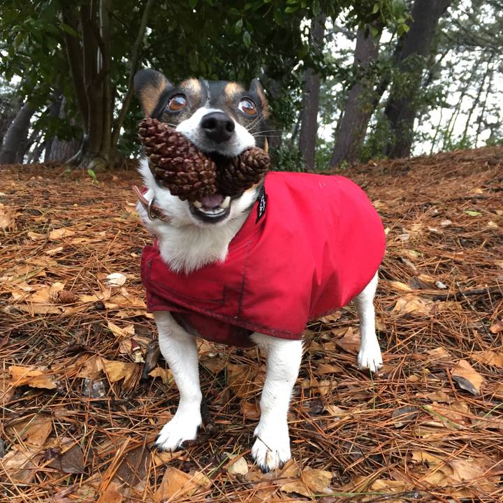 73deeec6 dc66 4c62 b25f 602e1a774321