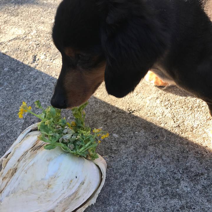 73e0a2f5 7a34 4c78 b882 4a30a8cb559b