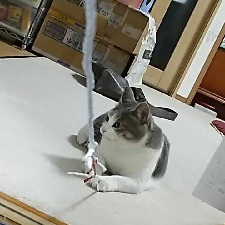 73e0b7d1 ffa7 4359 bb49 f39c39411a9f