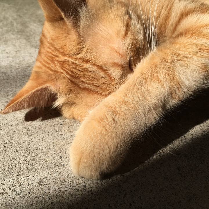 73e19708 b4e4 484b 91e6 ad260a9b980d