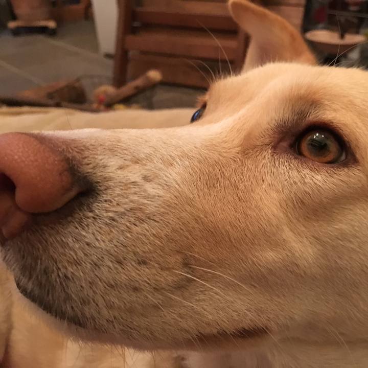 73e277fe 2ac1 4104 b7db 0048d6177747