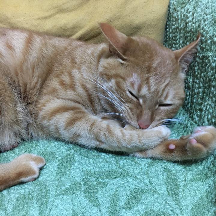 73e287c8 5a81 4a84 beec ad0a646dddf9