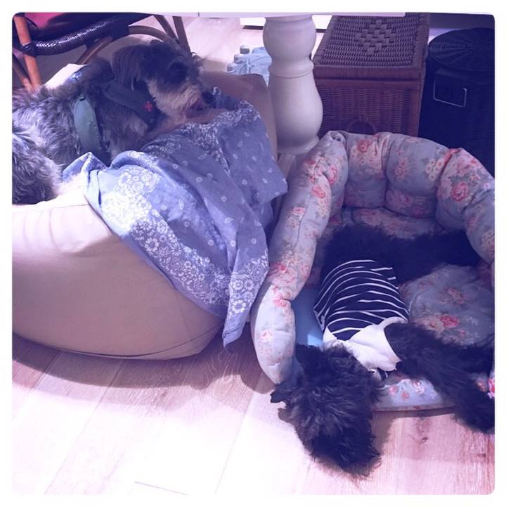 73e35ea0 196a 4d60 b0a1 7e8a892fe44b