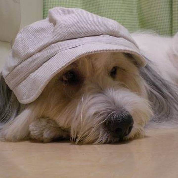 73e36361 690c 401f a8b0 73b03322c319