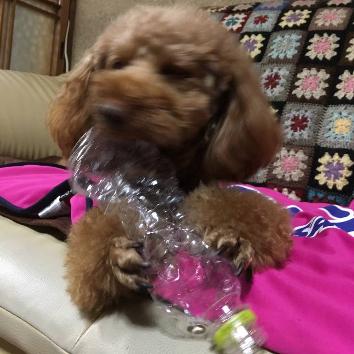 73e37350 2da3 468c ad19 ccebc79b160c