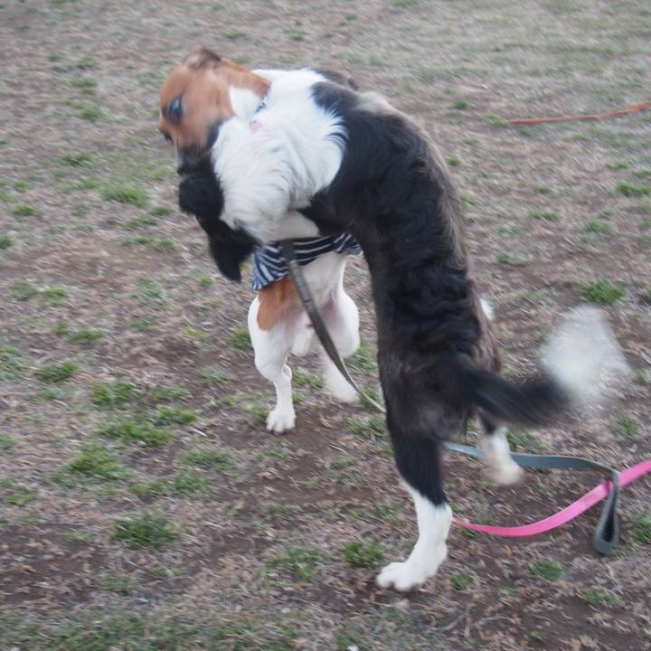 73e3db4a 86a5 4539 accb 231549f8ebc6