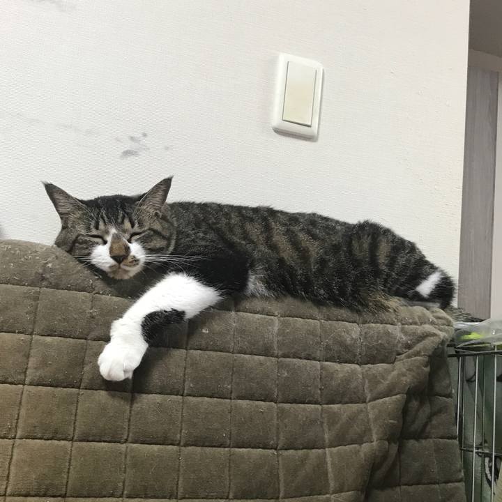 73e44929 d75f 48d3 a1d5 99270a0d0712