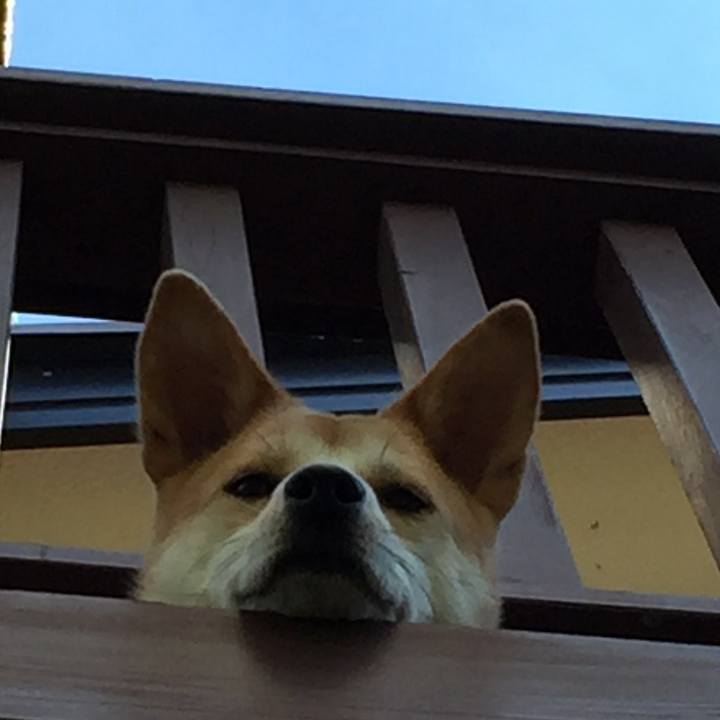 73e4bada b51b 45fa 8585 2825c9b16b8b