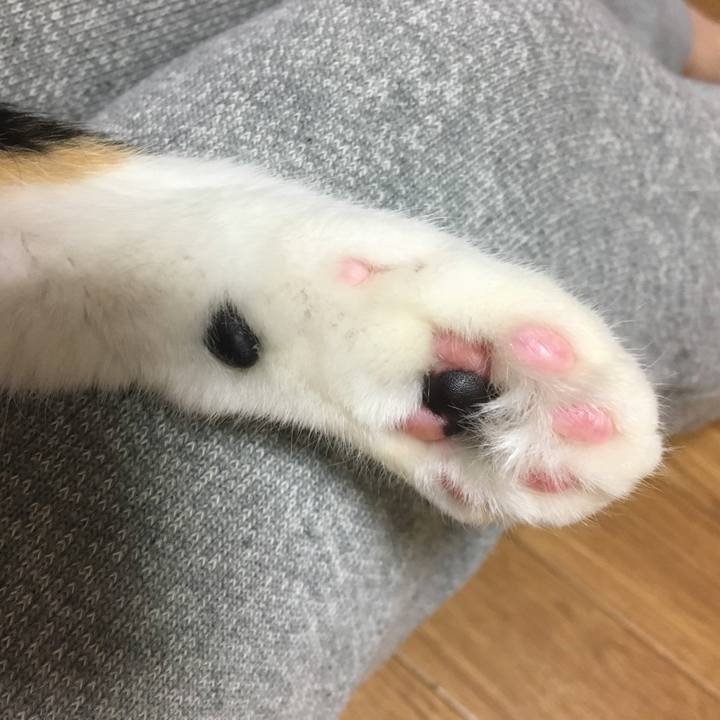 73e50114 d644 4520 90cf a427557acff1