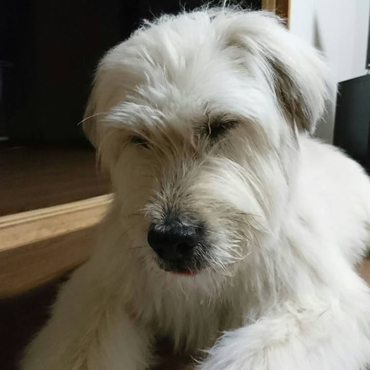 73e53787 9024 4c35 8177 2676213fa908